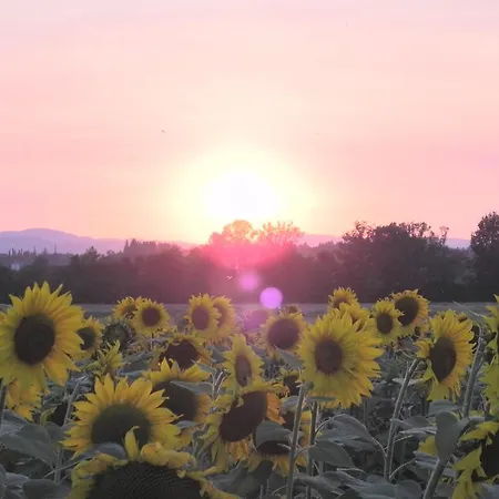 Fattoria Di Marena Farm stay *