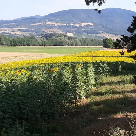 Farm stay Fattoria Di Marena *